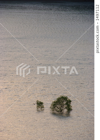 Submergence Submergence 1497112