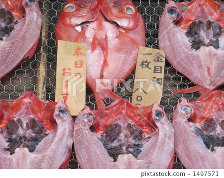 乾和服海鯛 1497571