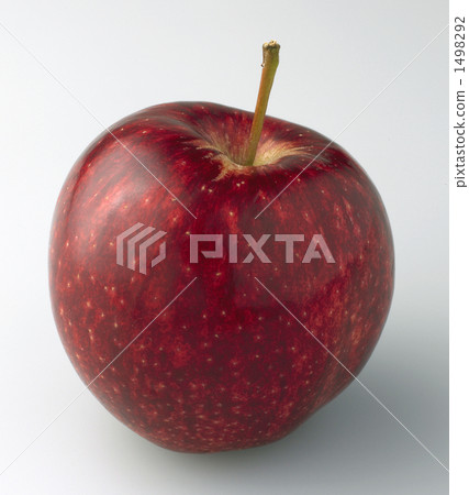 Apple Apple 1498292