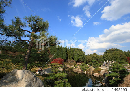 A garden A garden 1498293