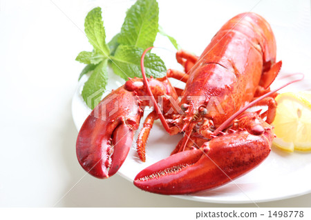Omaru prawn lobster Omaru prawn lobster 1498778