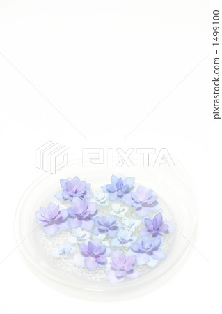 繡球花 -  04■Jogasaki的雨■菜餚 -  Yagiri繡球花 - 玻璃器皿 1499100
