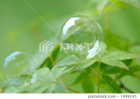 Shabone jade 1499245