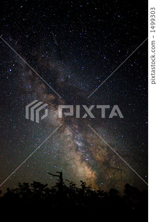 Milky Way Milky Way 1499303