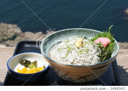 Shirasu bow at the terrace seat of Enoshima Shirasu bow at the terrace seat of Enoshima 1499341