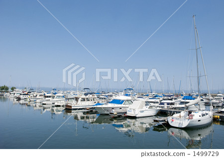 Yotto Harbor  1499729