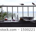 Birds and breakfast 1500221