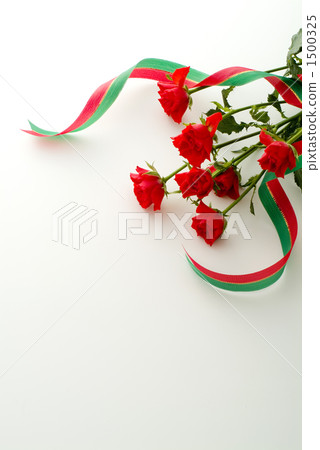 Roses 1500325