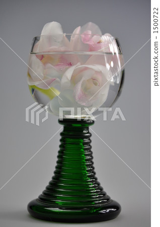 蘭花和酒杯 蘭花和酒杯 1500722