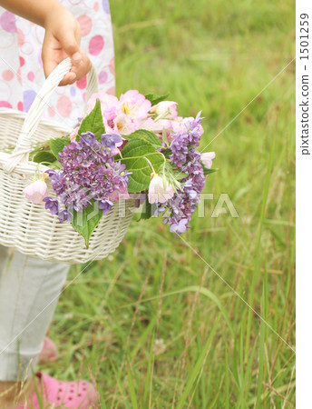 Flower basket and girl 1501259