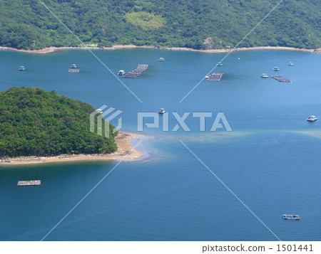 Many houseboats floating in Utsumi Many houseboats floating in Utsumi 1501441