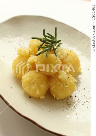 Jellyfish with powder flour Jellyfish with powder flour 1501465
