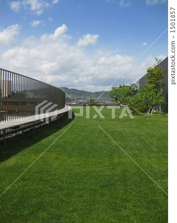 Aerial garden 1501857