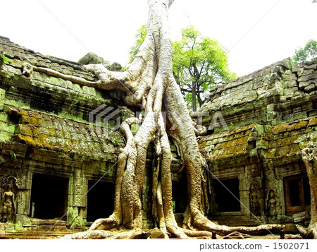 Ta Prohm Ruins Ta Prohm Ruins 1502071
