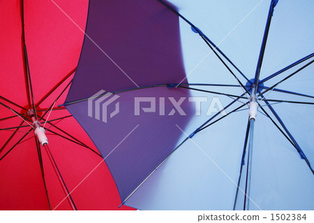 雨季圖像 1502384