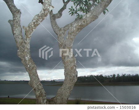 Atherton Takahara River Lakeside Atherton Takahara River Lakeside 1503016