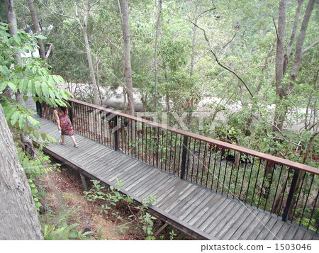 男爵瀑布觀景台 1503046