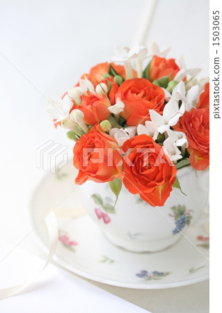 橙色的玫瑰 1503065