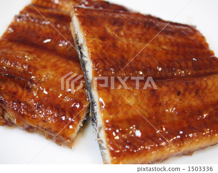 eel, unagi, kabayaki 1503336