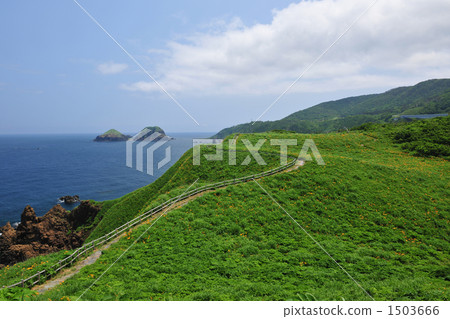 我希望在Sado Ono Turtle中自然生長的Tobi Shima甘草有兩隻烏龜 我希望在Sado Ono Turtle中自然生長的Tobi Shima甘草有兩隻烏龜 1503666