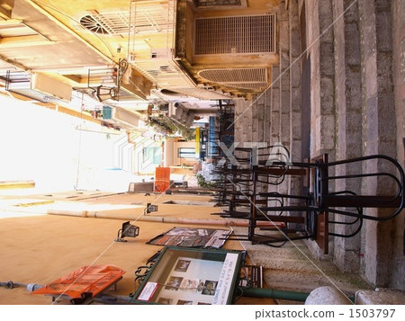 陶爾米納 1503797