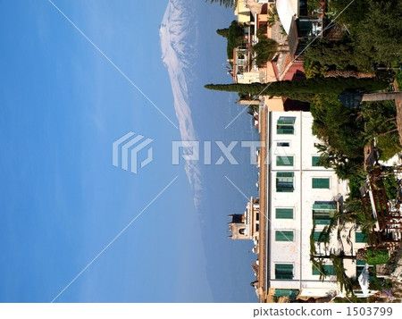 陶爾米納 1503799