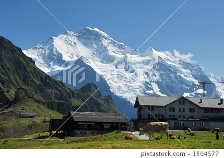 Jungfrau 1504577
