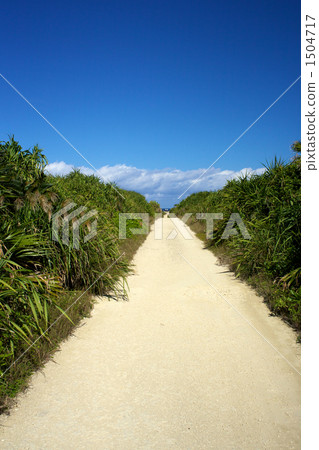 One road to the cape One road to the cape 1504717