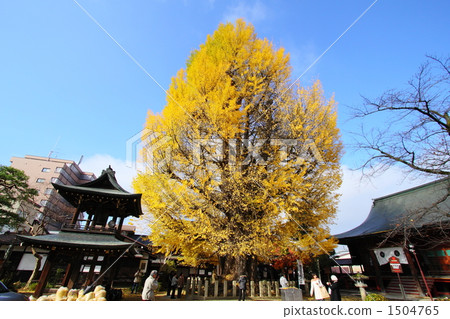 The big autograph of the autumnal weather 1504765