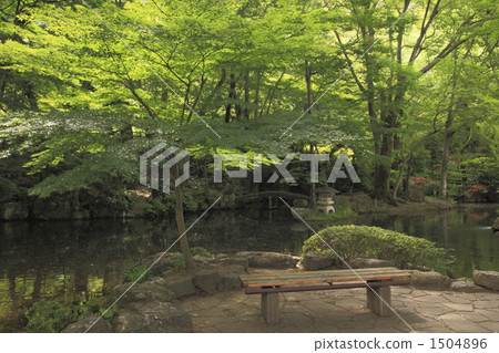 Gifu Park Gifu Park 1504896