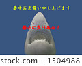 Shark's hot summer sunrise 1504988