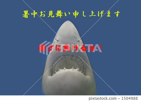鯊魚的炎熱夏日日出 鯊魚的炎熱夏日日出 1504988