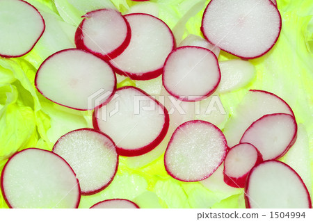 vegetable salad vegetable salad 1504994