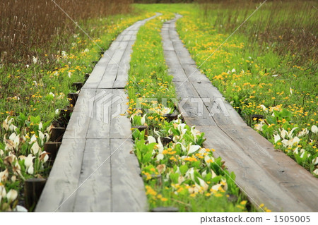 Oze no Michi 1505005