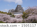 Cherry tree full bloom Himeji castle 1505117