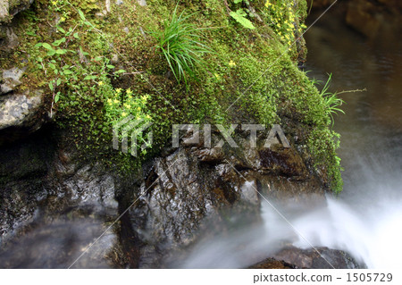Valley 1505729