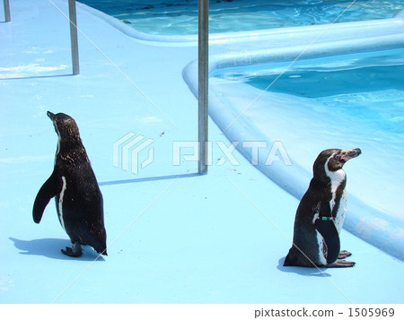 在一場戰鬥？ 1505969