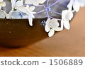 Japanese appliances and hydrangea 1506889