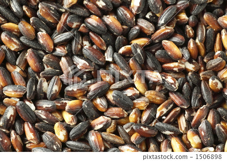 Black rice Black rice 1506898