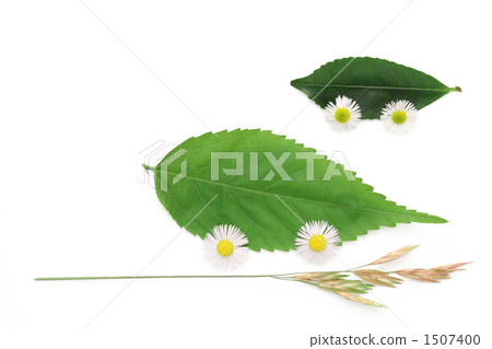 Eco-car image with tree leaves 1507400