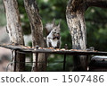 Ezolith during meal 1507486