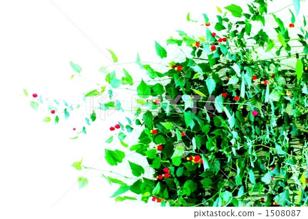 Tyrolean lamp shining on white wall 1508087