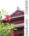 Hibiscus of Shuri Castle 1508098