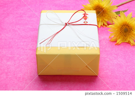 Summer gift  1509514