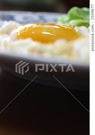 eggs sunny side up, plate, cabbage 1509677