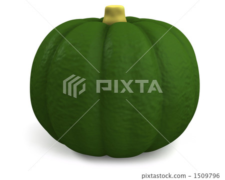南瓜 1509796