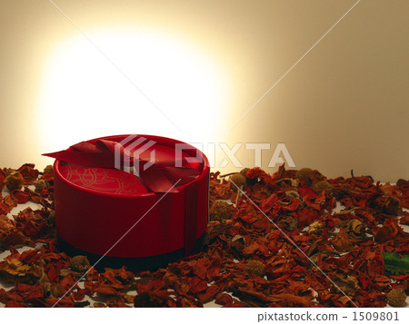 禮物和枯葉 1509801