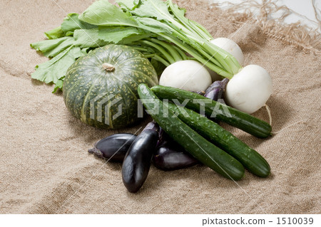 Vegetables 1510039