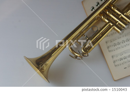Musical instrument Musical instrument 1510043