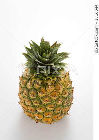 pineapple  1510044